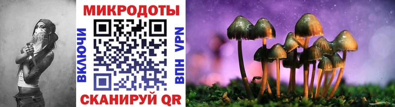 Галлюциногенные грибы мухоморы  Игарка 